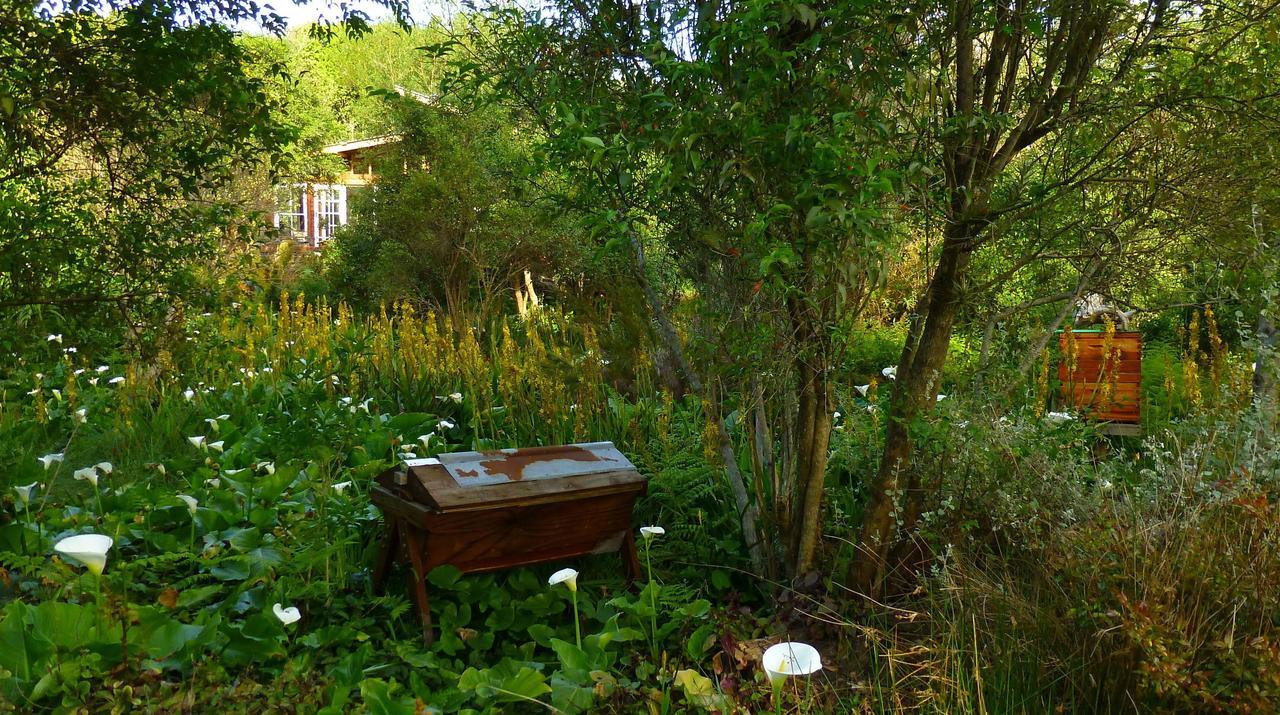 Boutique Vintage Forest Cabin Stormsrivier Exterior photo