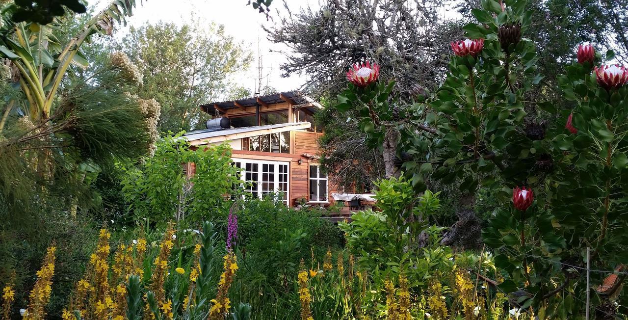 Boutique Vintage Forest Cabin Stormsrivier Exterior photo