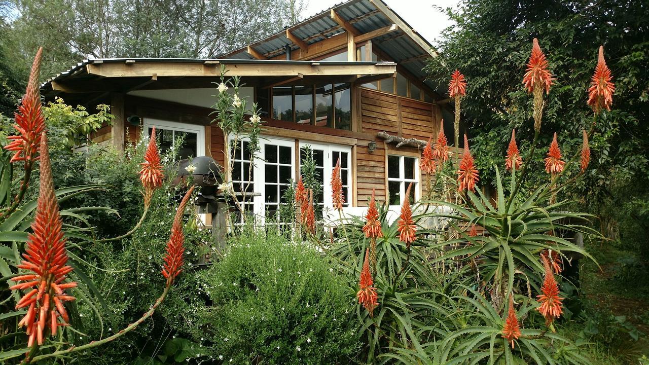 Boutique Vintage Forest Cabin Stormsrivier Exterior photo
